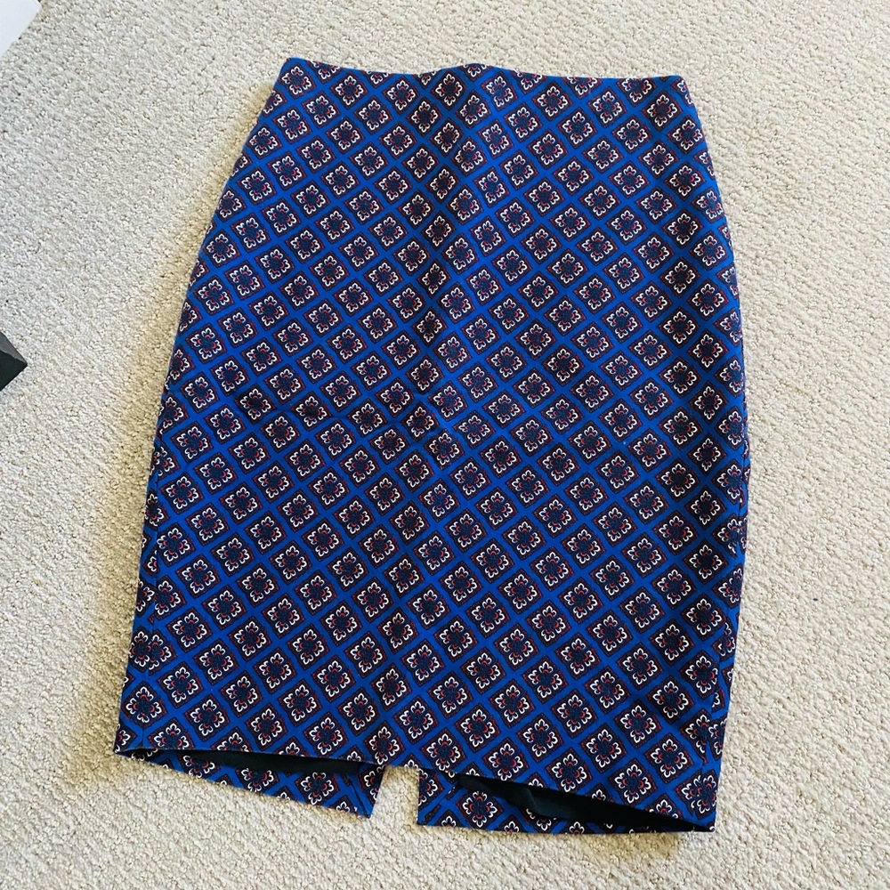 Express Pencil Skirt